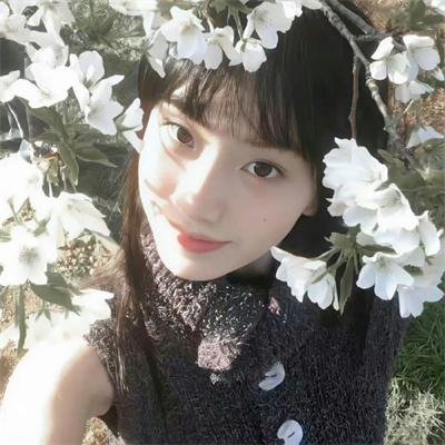 派出所的故事